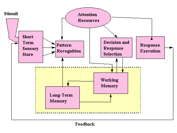 Figure 3-2. Human Information Processing Flow